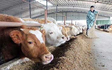 新東制冷罐出口中亞 解決哈國奶源保鮮難題